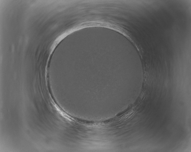 X0000077371535200610201335