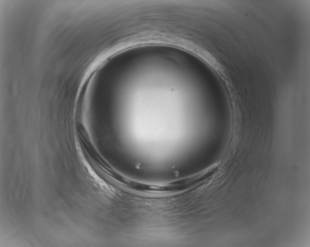 X0000077371536200610201335