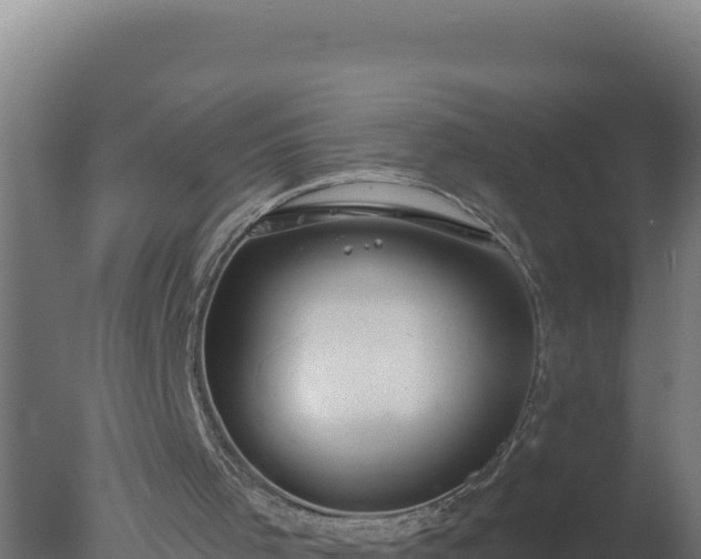 X0000077370001200610271932