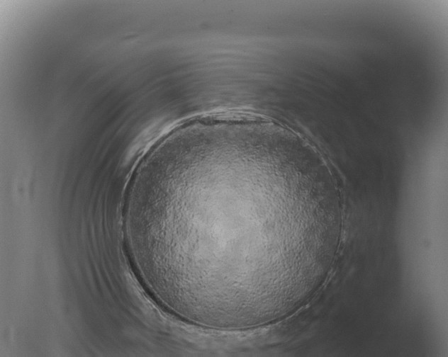 X0000077370002200610271932