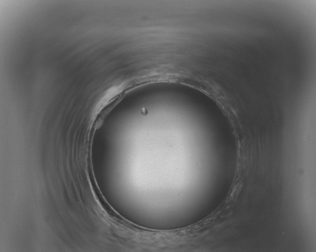 X0000077370003200610271932