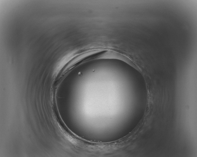 X0000077370005200610271932