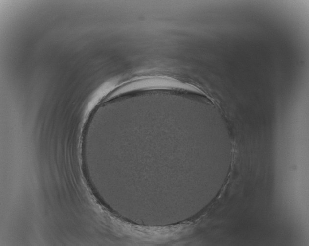 X0000077370006200610271932