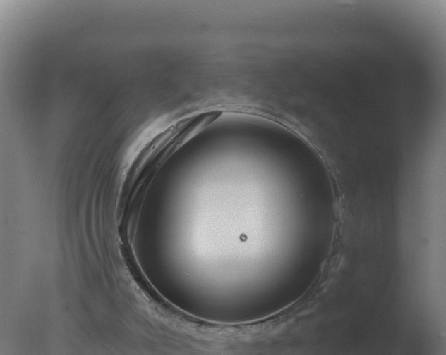 X0000077370007200610271932