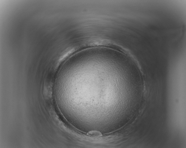 X0000077370010200610271932