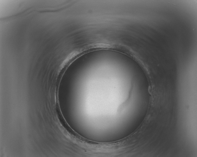 X0000077370011200610271932