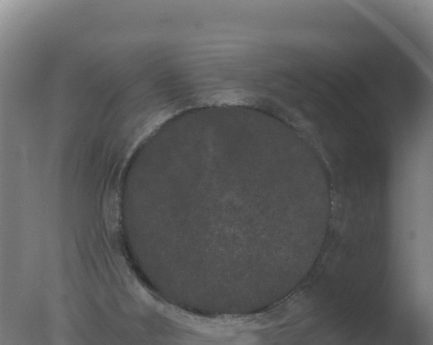 X0000077370012200610271932