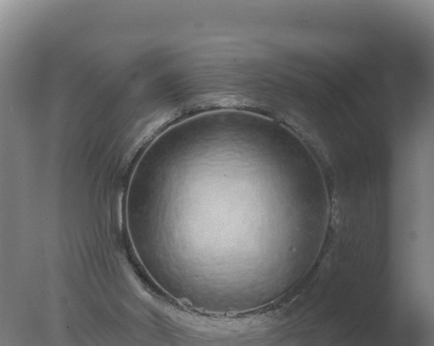 X0000077370014200610271932