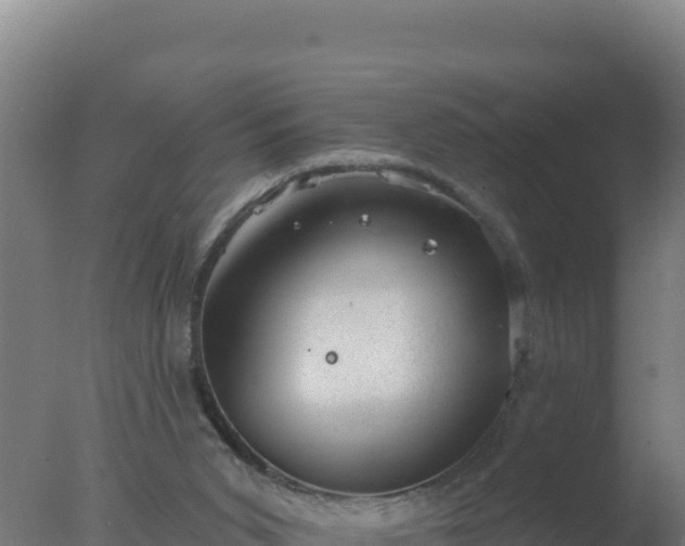 X0000077370015200610271932