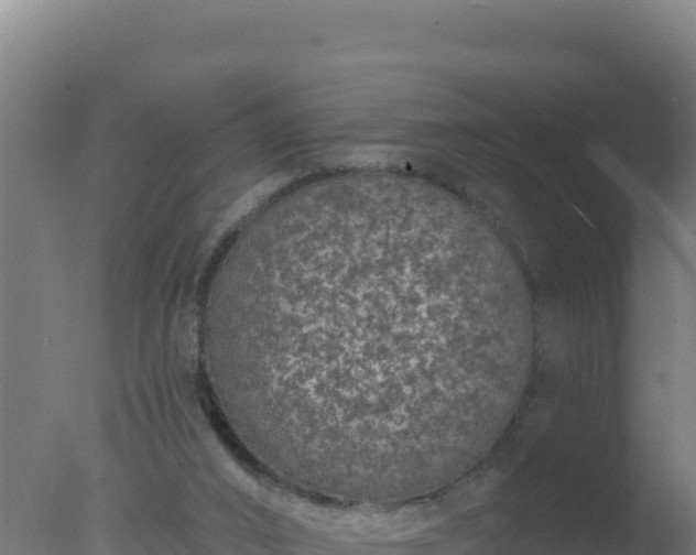 X0000077370016200610271932