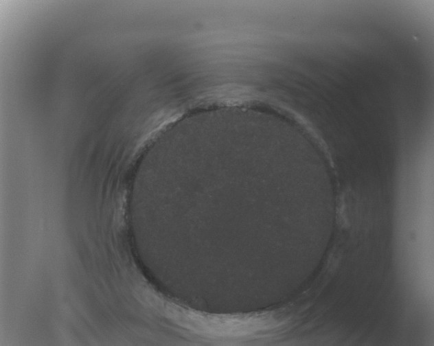 X0000077370018200610271932