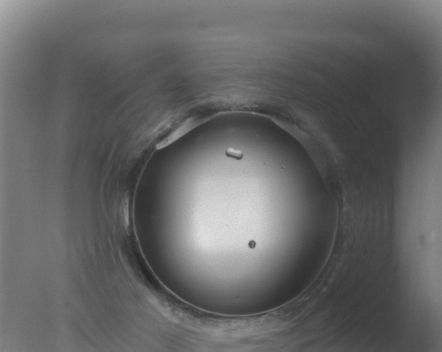 X0000077370021200610271932