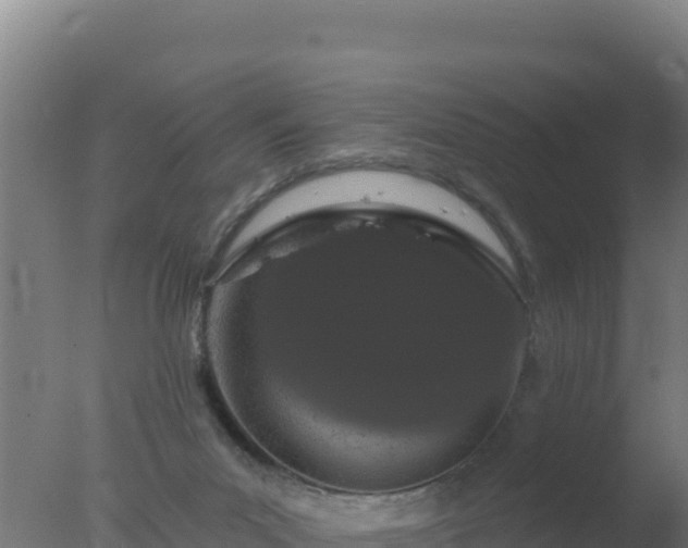 X0000077370023200610271932