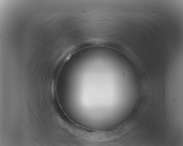 X0000077370024200610271932