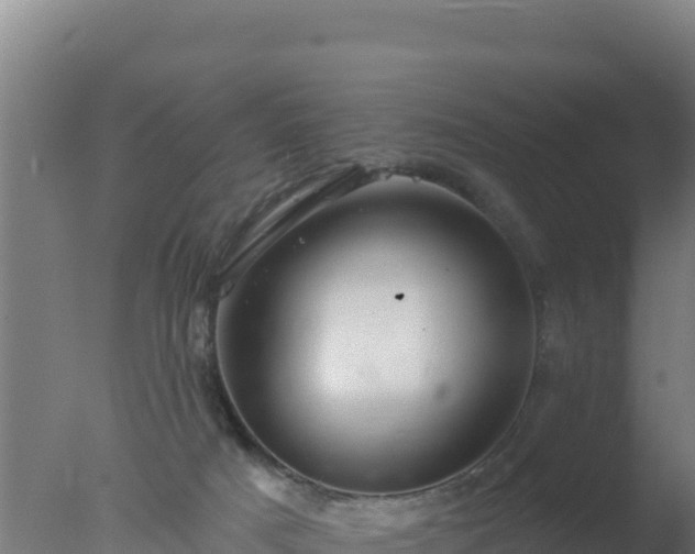 X0000077370025200610271932