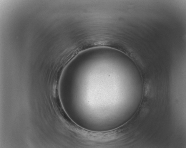 X0000077370026200610271932