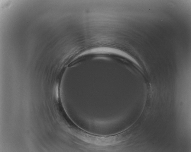 X0000077370027200610271932