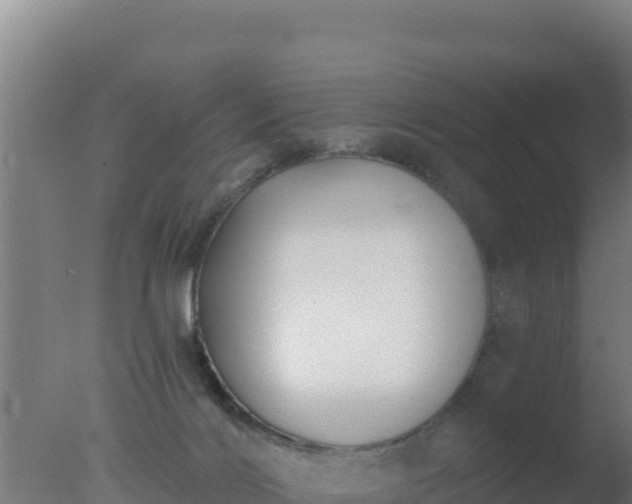 X0000077370028200610271932