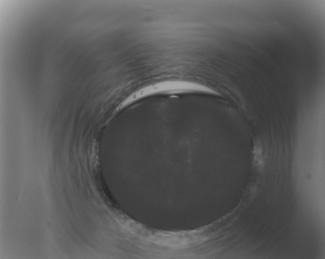 X0000077370029200610271932