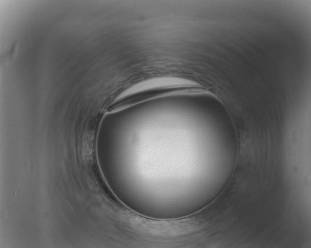 X0000077370030200610271932