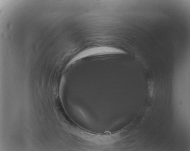 X0000077370031200610271932