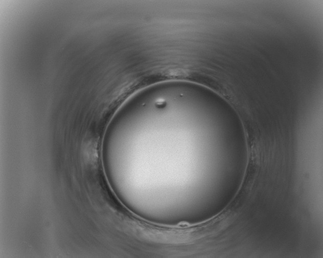 X0000077370032200610271932