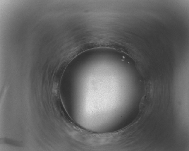 X0000077370033200610271931