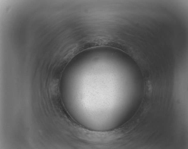 X0000077370034200610271931