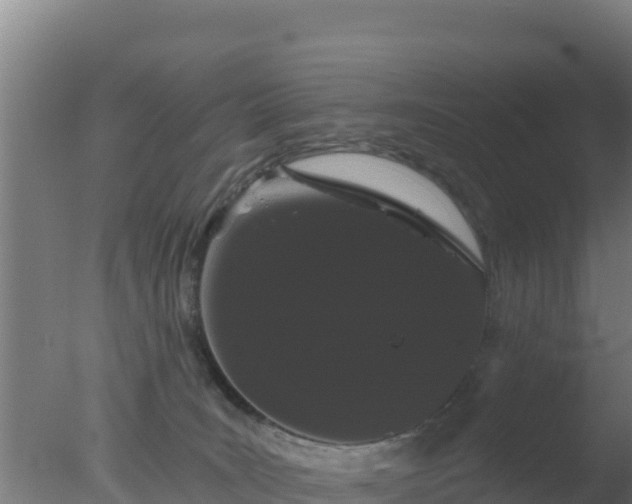 X0000077370035200610271931