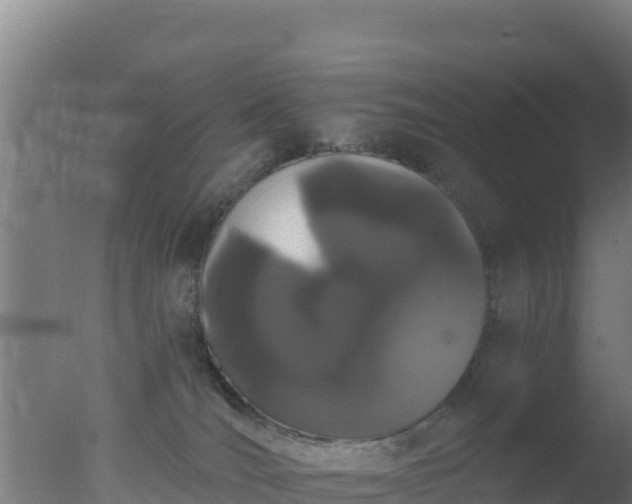 X0000077370036200610271931