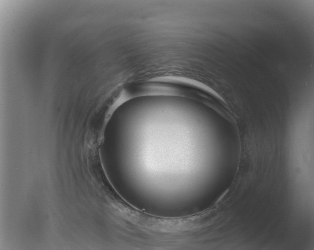 X0000077370037200610271931