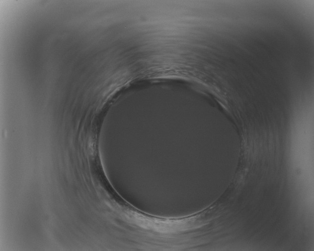 X0000077370039200610271931