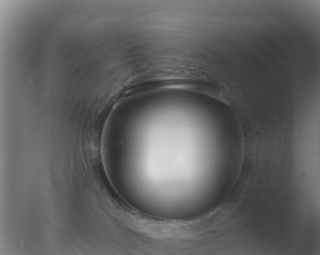 X0000077370040200610271931