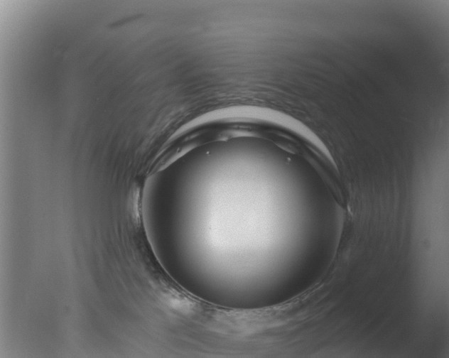 X0000077370041200610271931