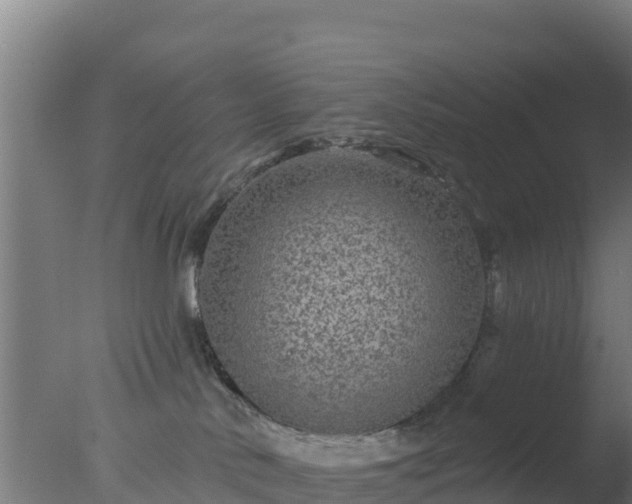 X0000077370042200610271931