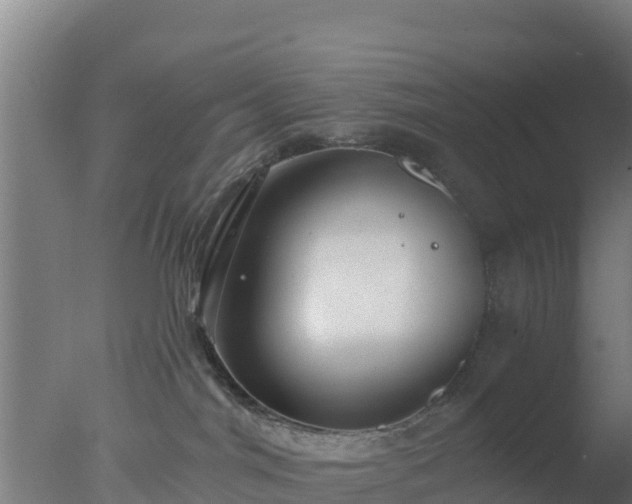 X0000077370044200610271931