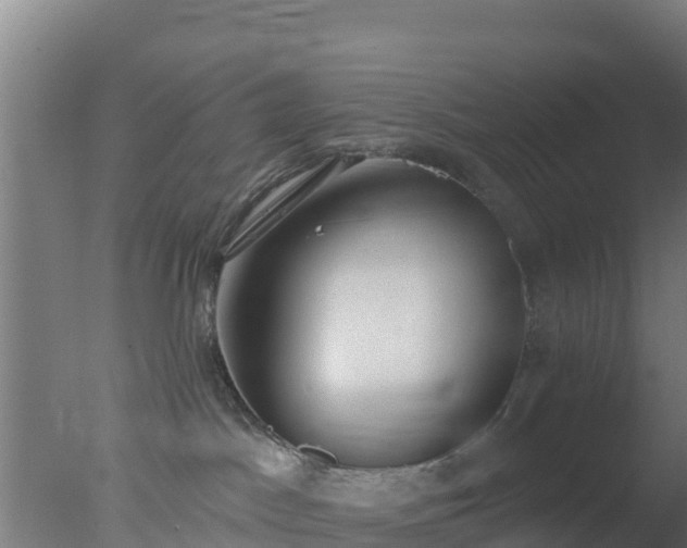 X0000077370045200610271931