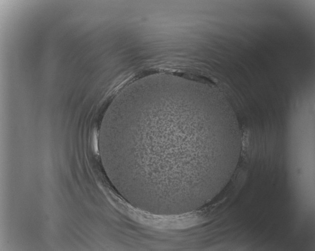 X0000077370046200610271931