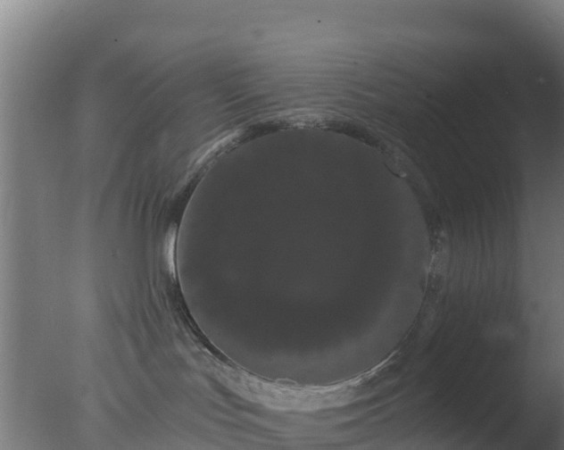 X0000077370047200610271931