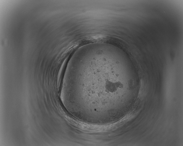 X0000077370048200610271931