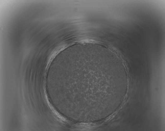 X0000077370049200610271930