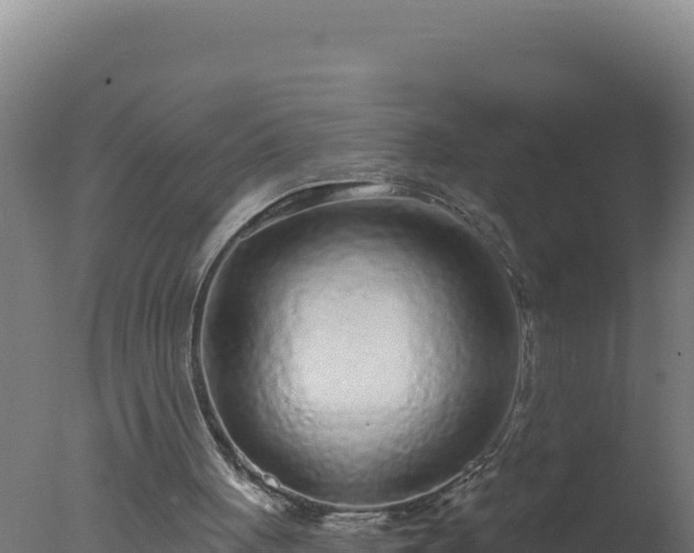 X0000077370051200610271930