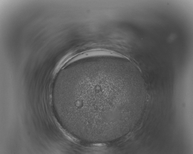 X0000077370053200610271930