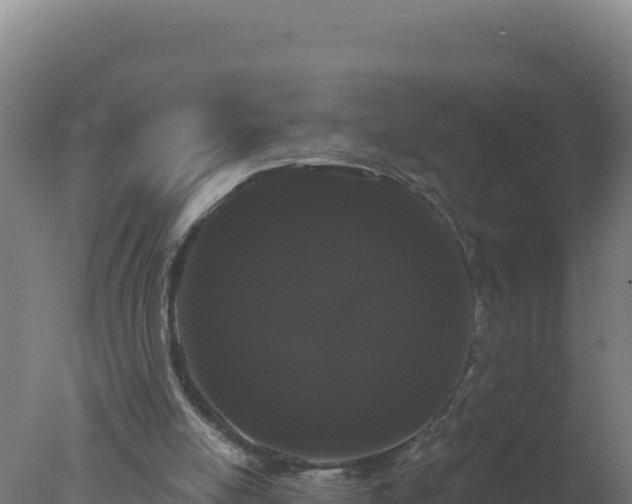 X0000077370054200610271931