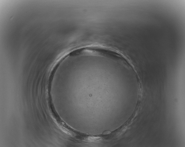 X0000077370055200610271931