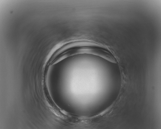 X0000077370056200610271931