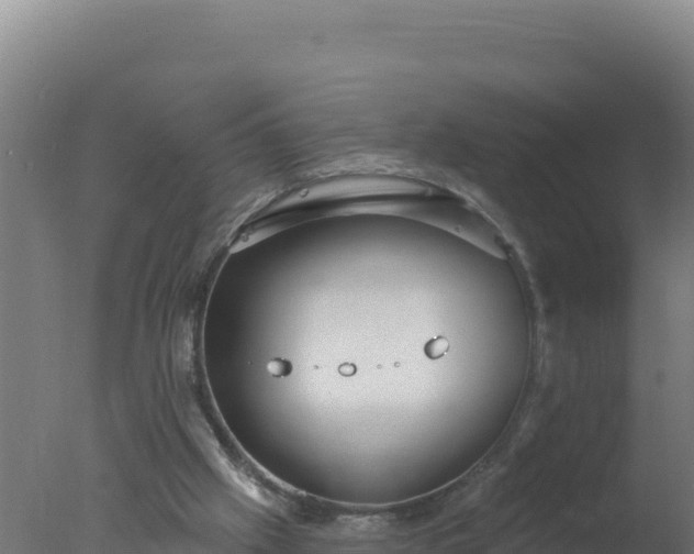 X0000077370057200610271931