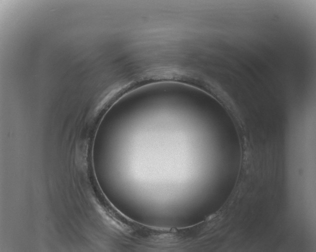 X0000077370058200610271931