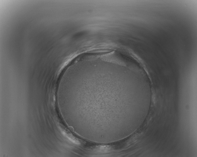 X0000077370059200610271931