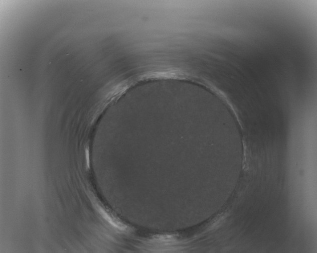 X0000077370061200610271931